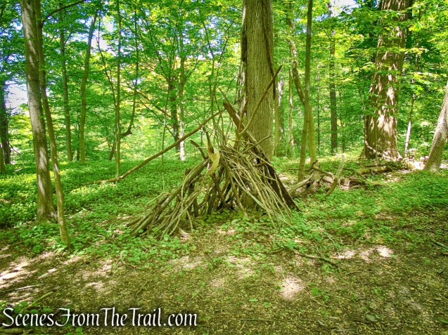 Crawbuckie Nature Preserve