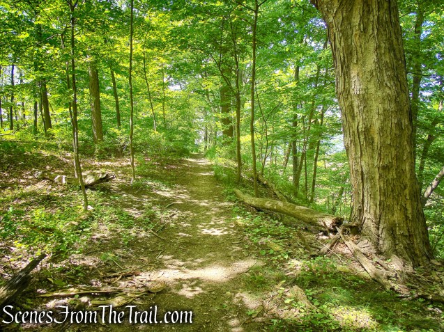 Crawbuckie Nature Preserve