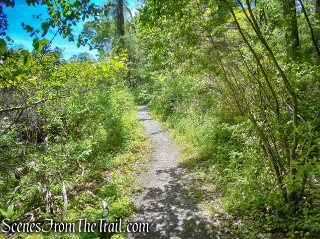 handicapped accessible trail - Crawbuckie Nature Preserve