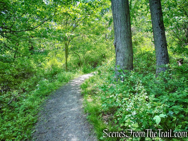 handicapped accessible trail - Crawbuckie Nature Preserve