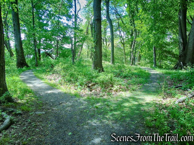 handicapped accessible trail - Crawbuckie Nature Preserve