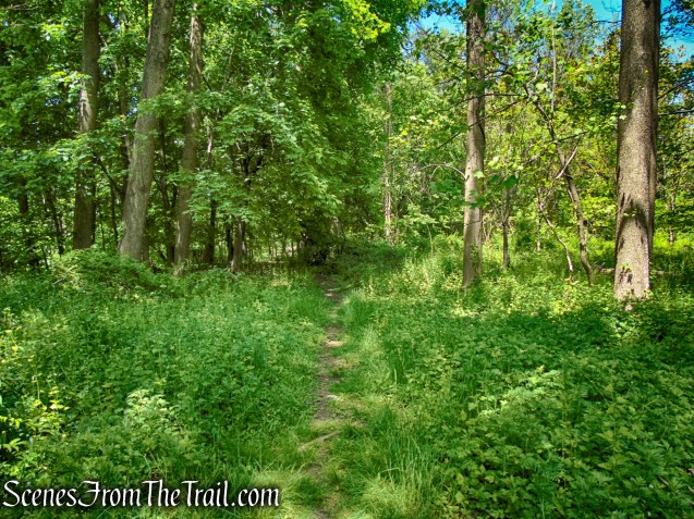 Crawbuckie Nature Preserve