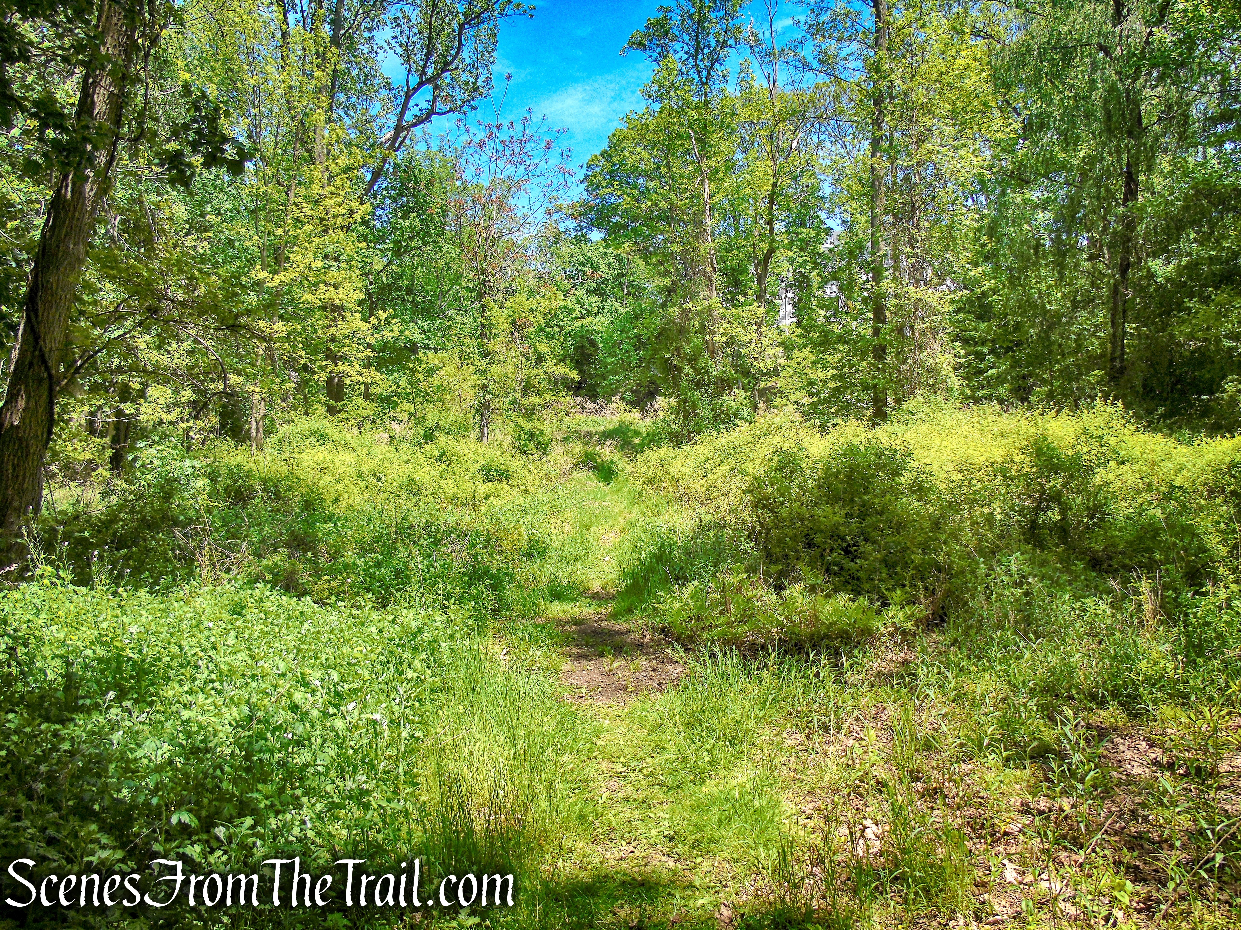 Crawbuckie Nature Preserve