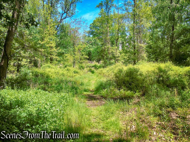 Crawbuckie Nature Preserve