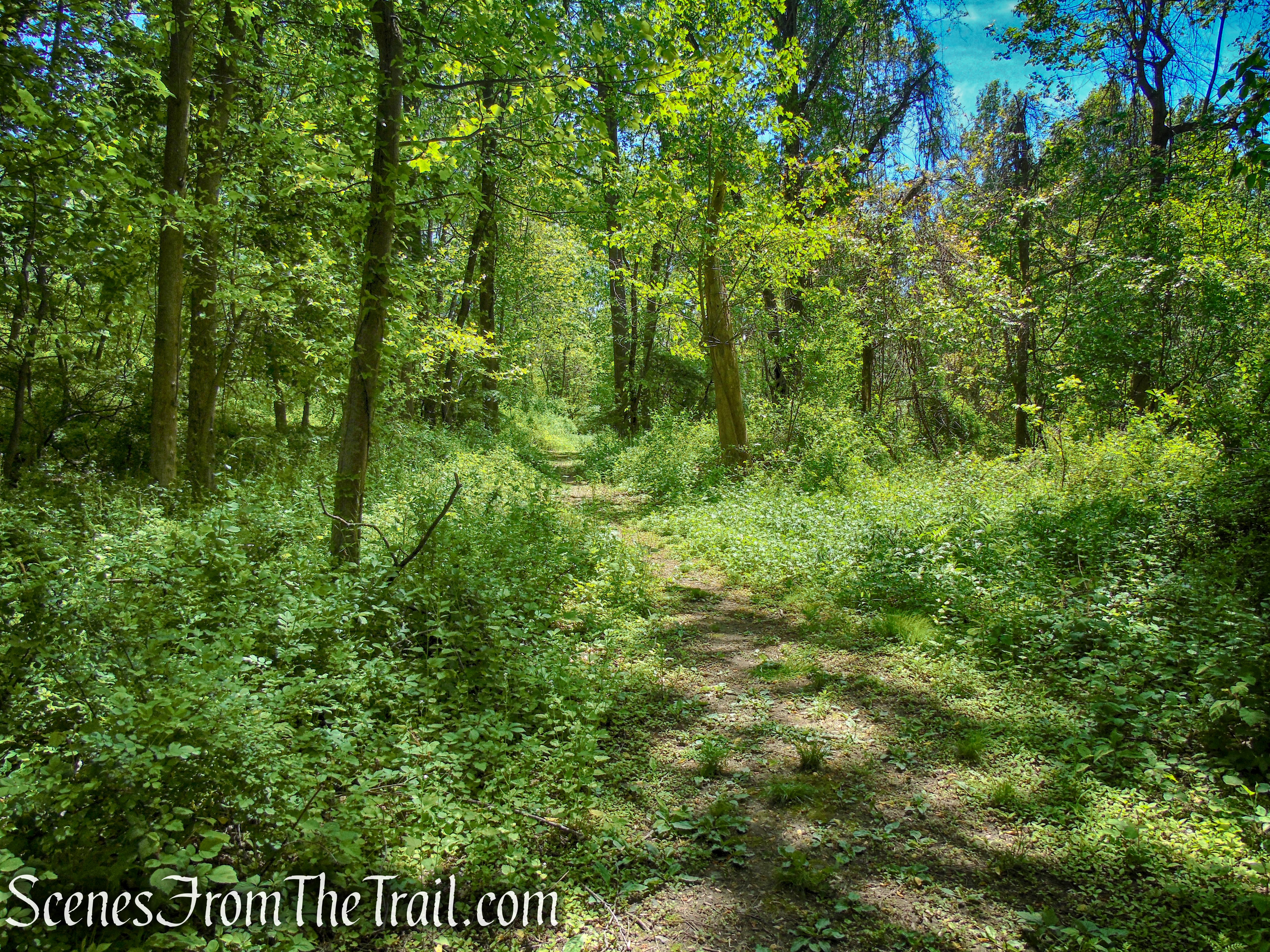 Crawbuckie Nature Preserve