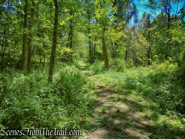 Crawbuckie Nature Preserve