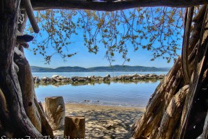 driftwood hut - Croton Landing Park