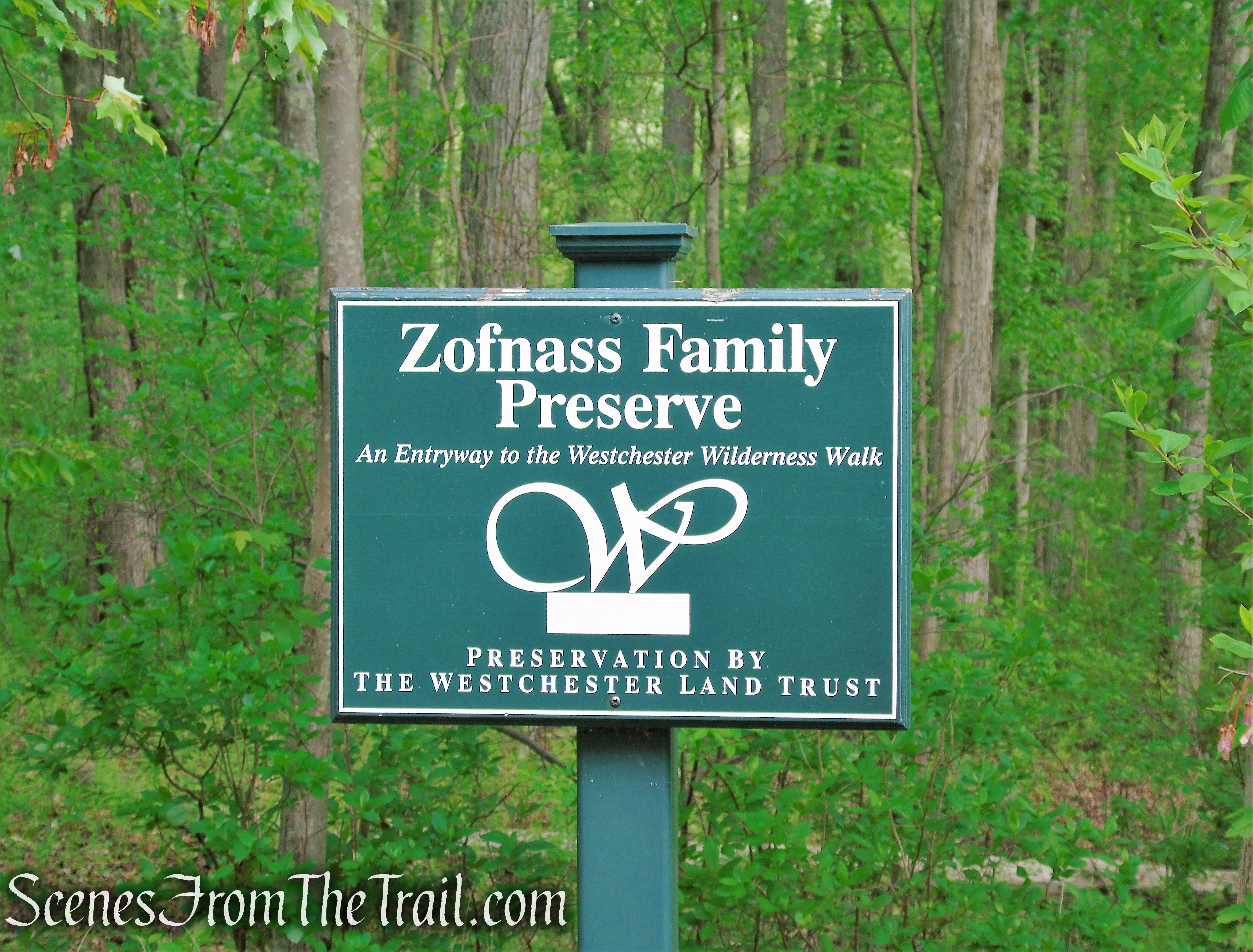Westchester Wilderness Walk - Zofnass Family Preserve