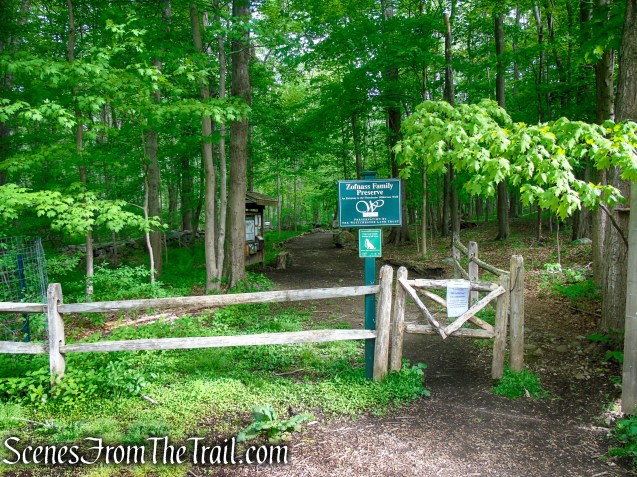 Southern Loop Trailhead - Upper Shad Road