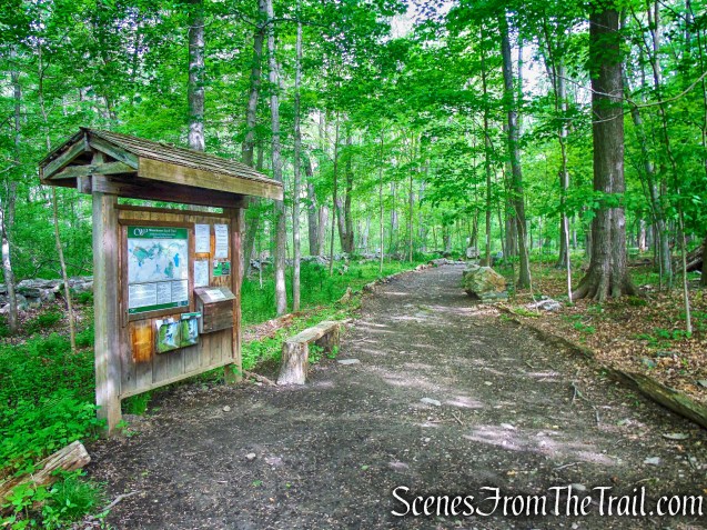 Southern Loop Trailhead - Upper Shad Road