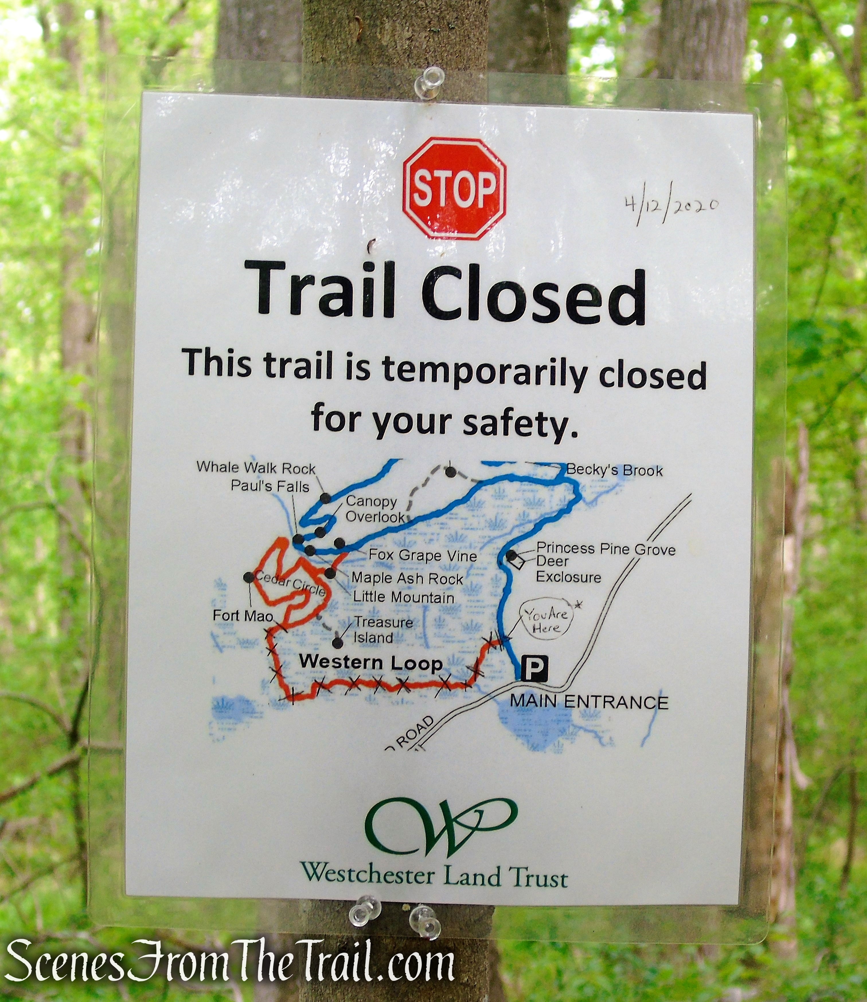 Westchester Wilderness Walk - Zofnass Family Preserve