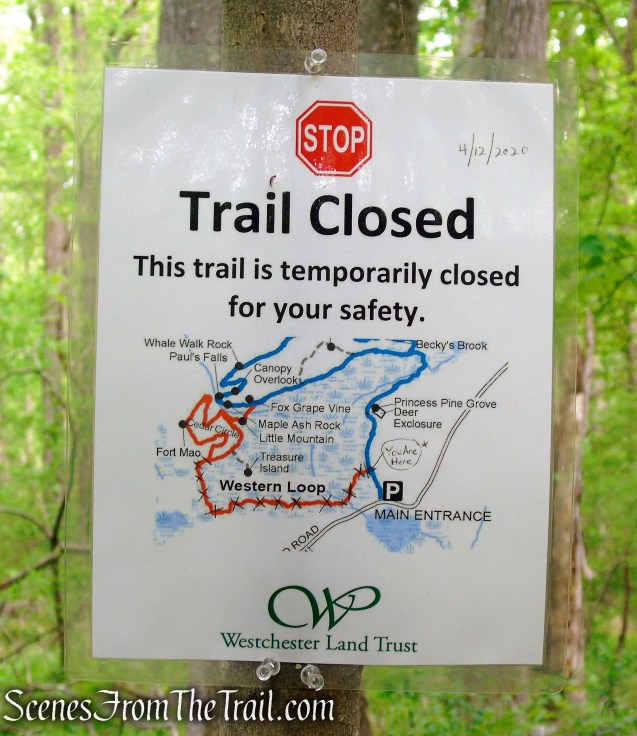 Westchester Wilderness Walk - Zofnass Family Preserve