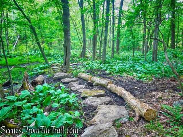 Southern Loop - Westchester Wilderness Walk
