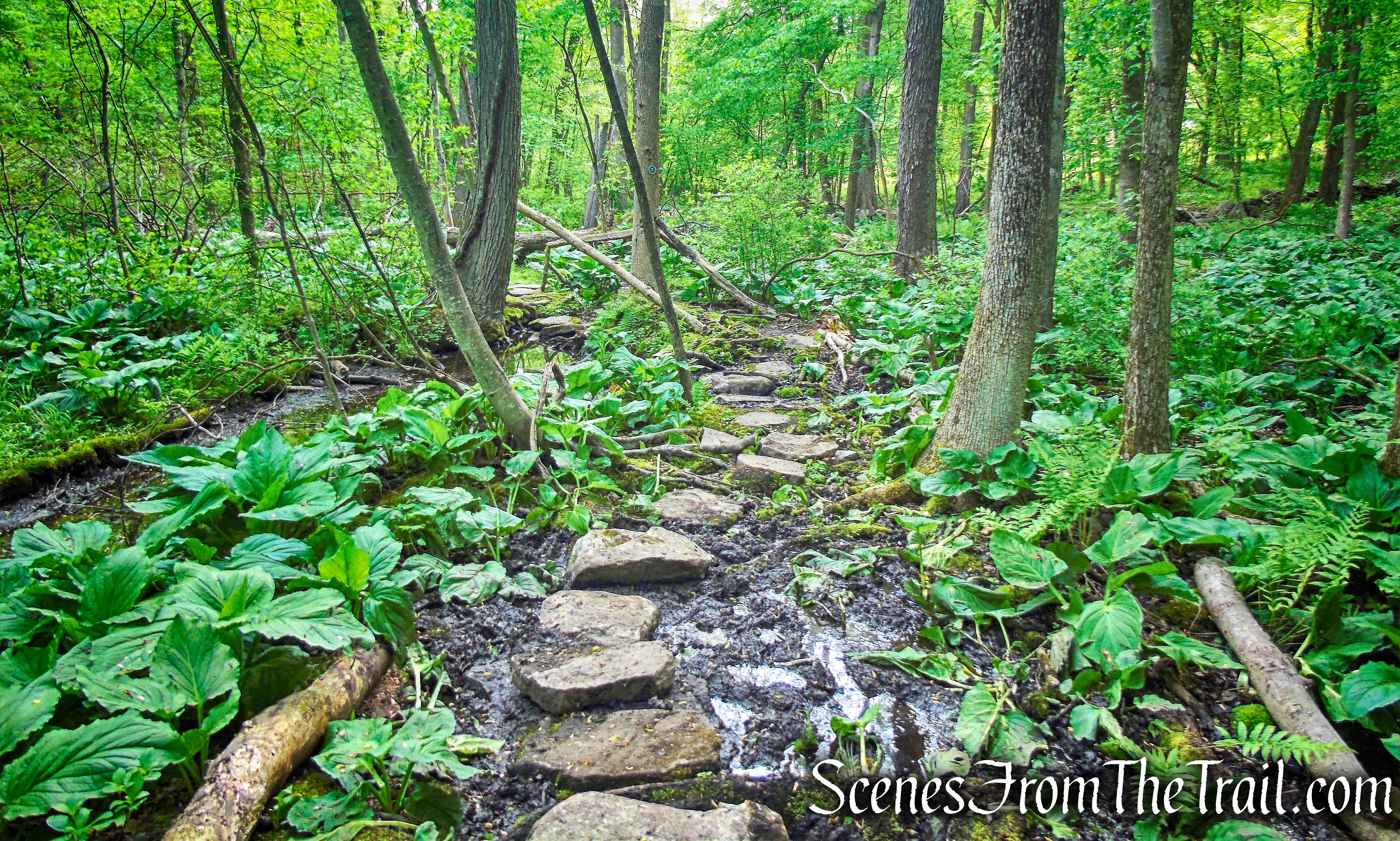 Southern Loop - Westchester Wilderness Walk