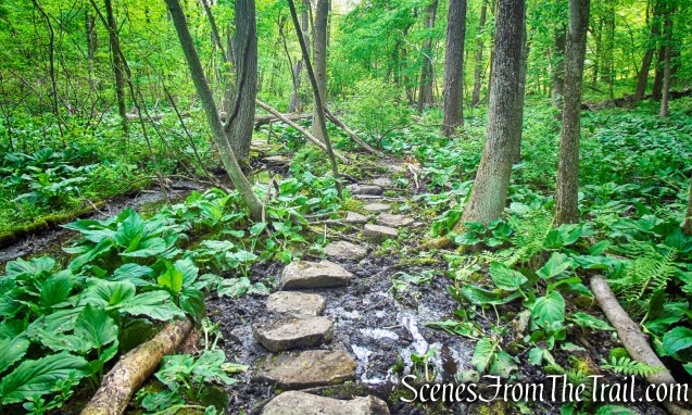 Southern Loop - Westchester Wilderness Walk