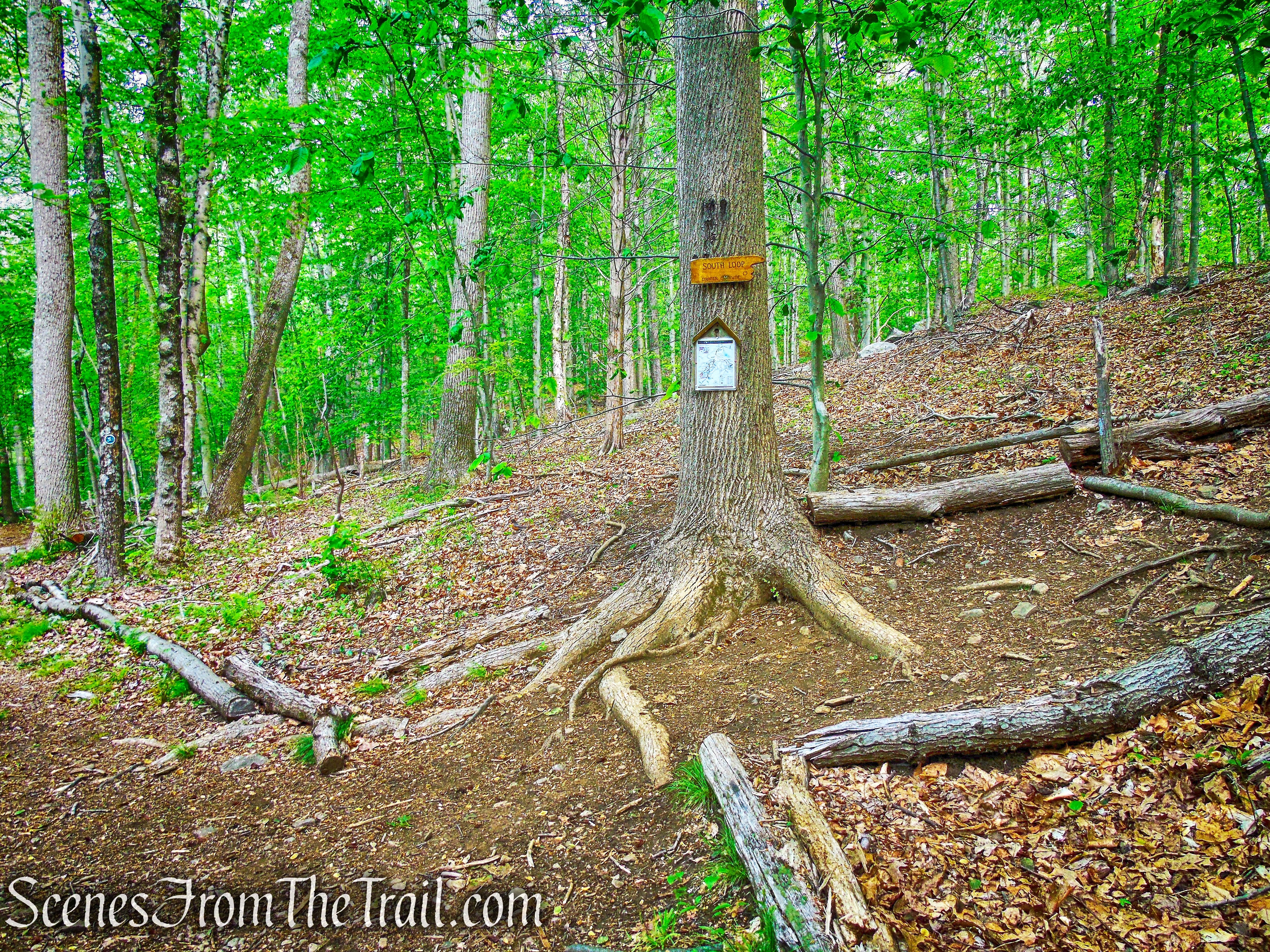 Southern Loop - Westchester Wilderness Walk