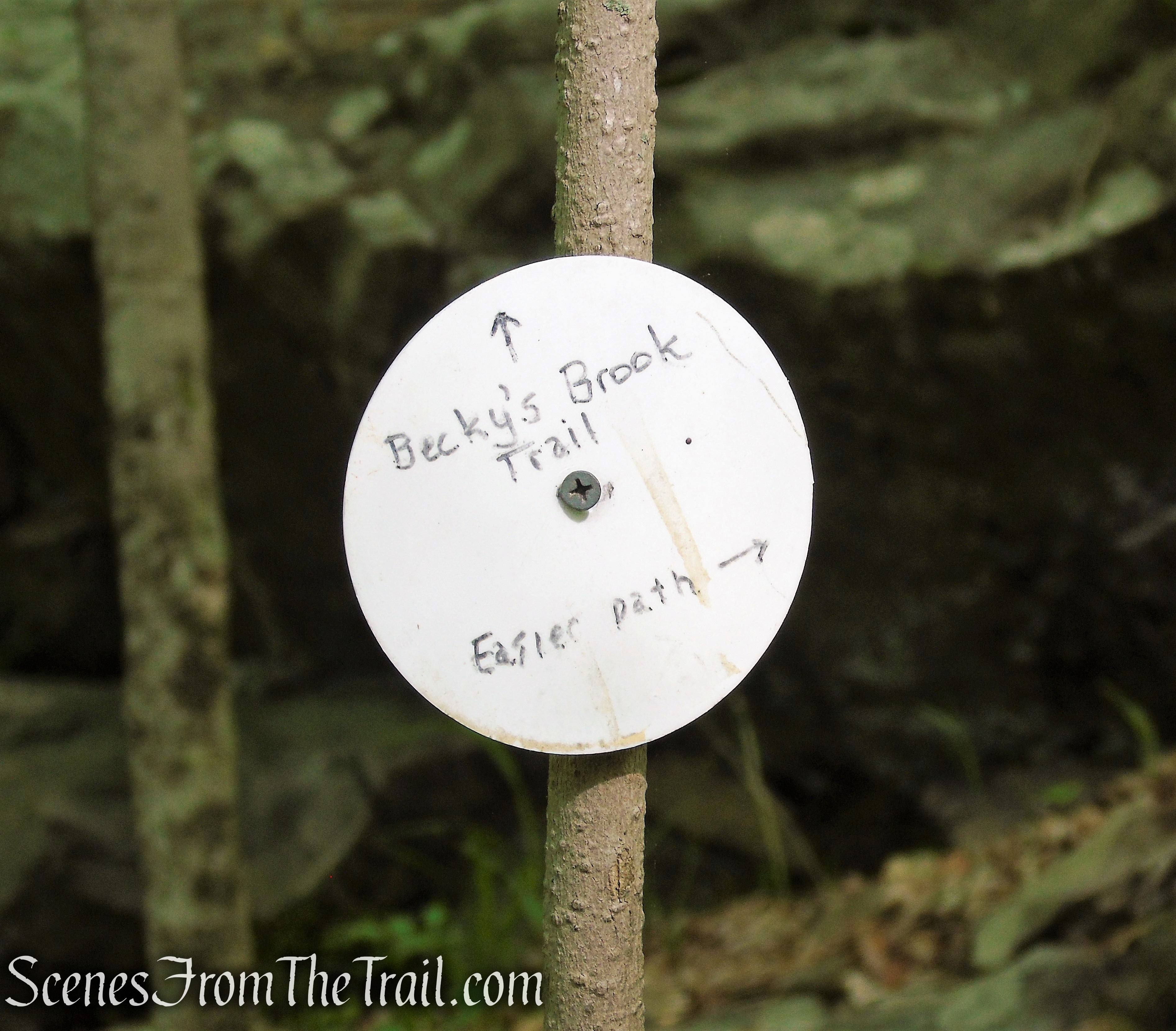 Westchester Wilderness Walk - Zofnass Family Preserve