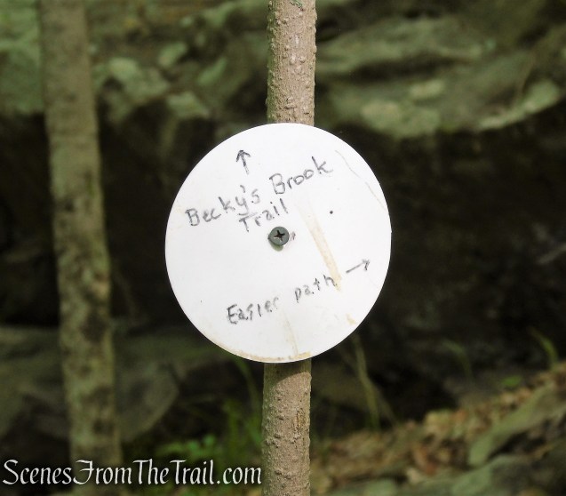 Westchester Wilderness Walk - Zofnass Family Preserve