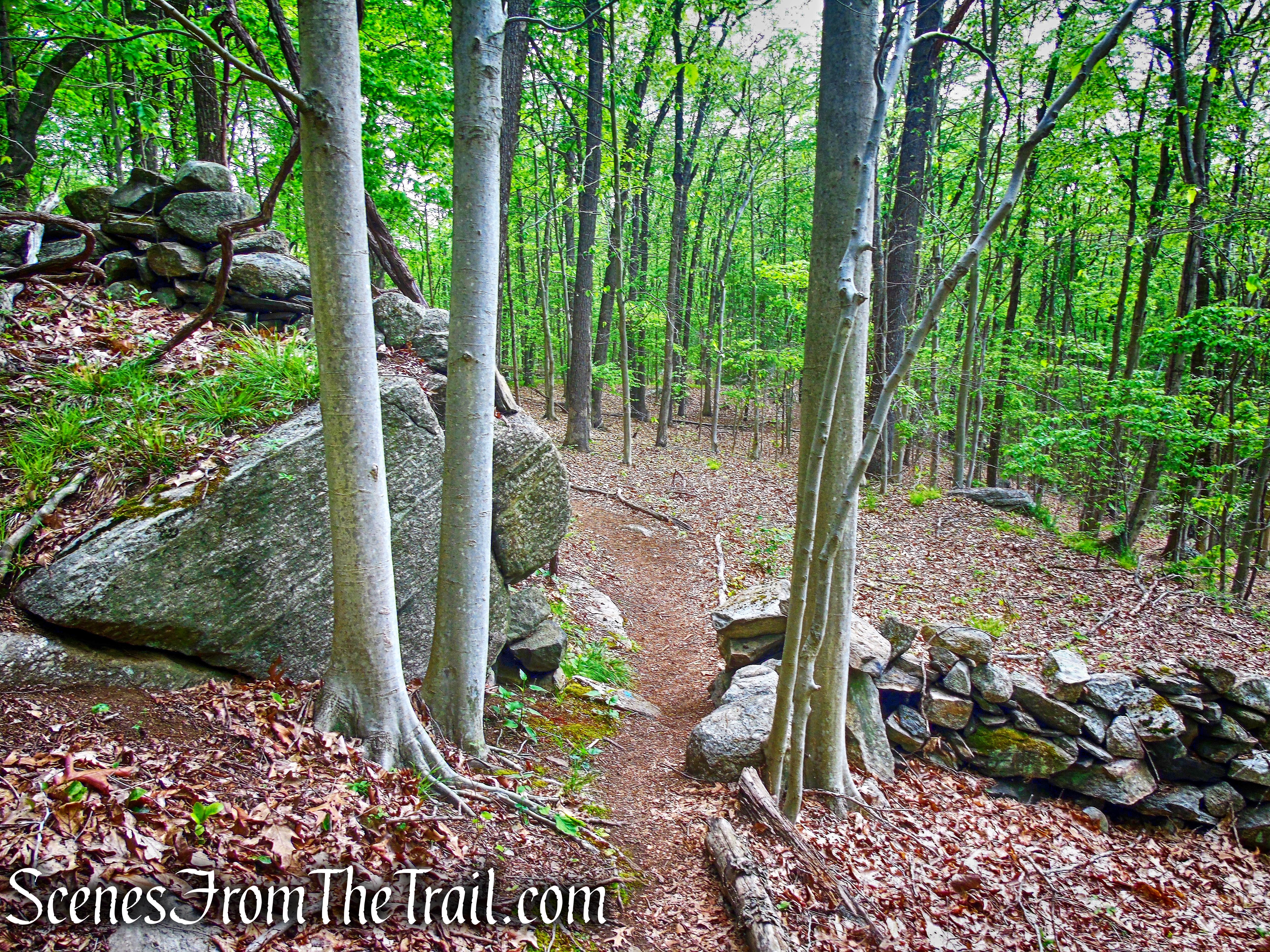 Southern Loop - Westchester Wilderness Walk