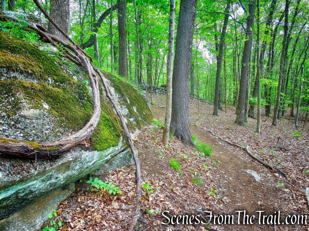 Lichen Ledge - Southern Loop 
