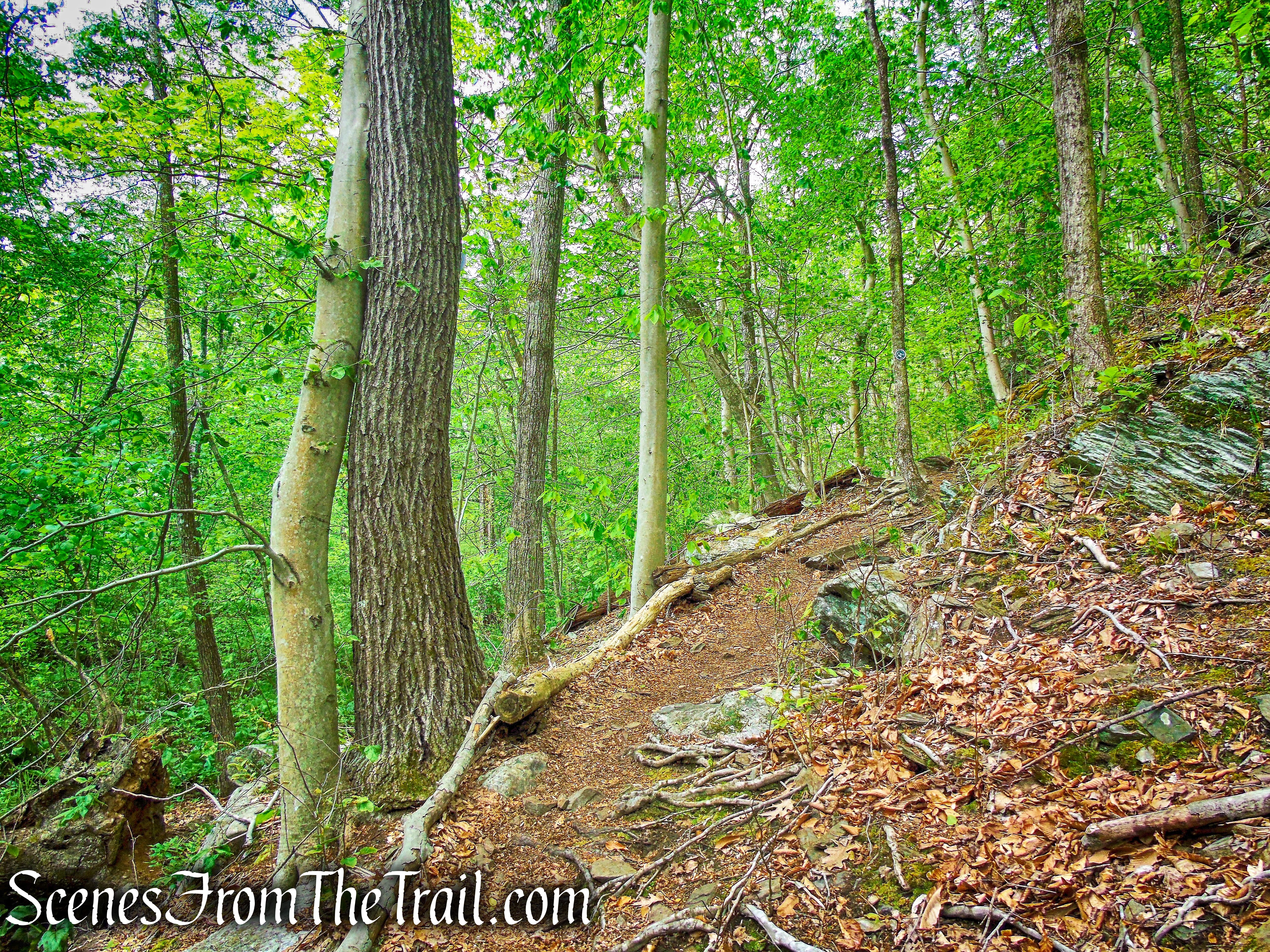 Southern Loop - Westchester Wilderness Walk