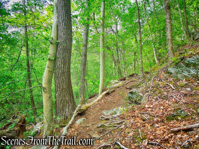Southern Loop - Westchester Wilderness Walk
