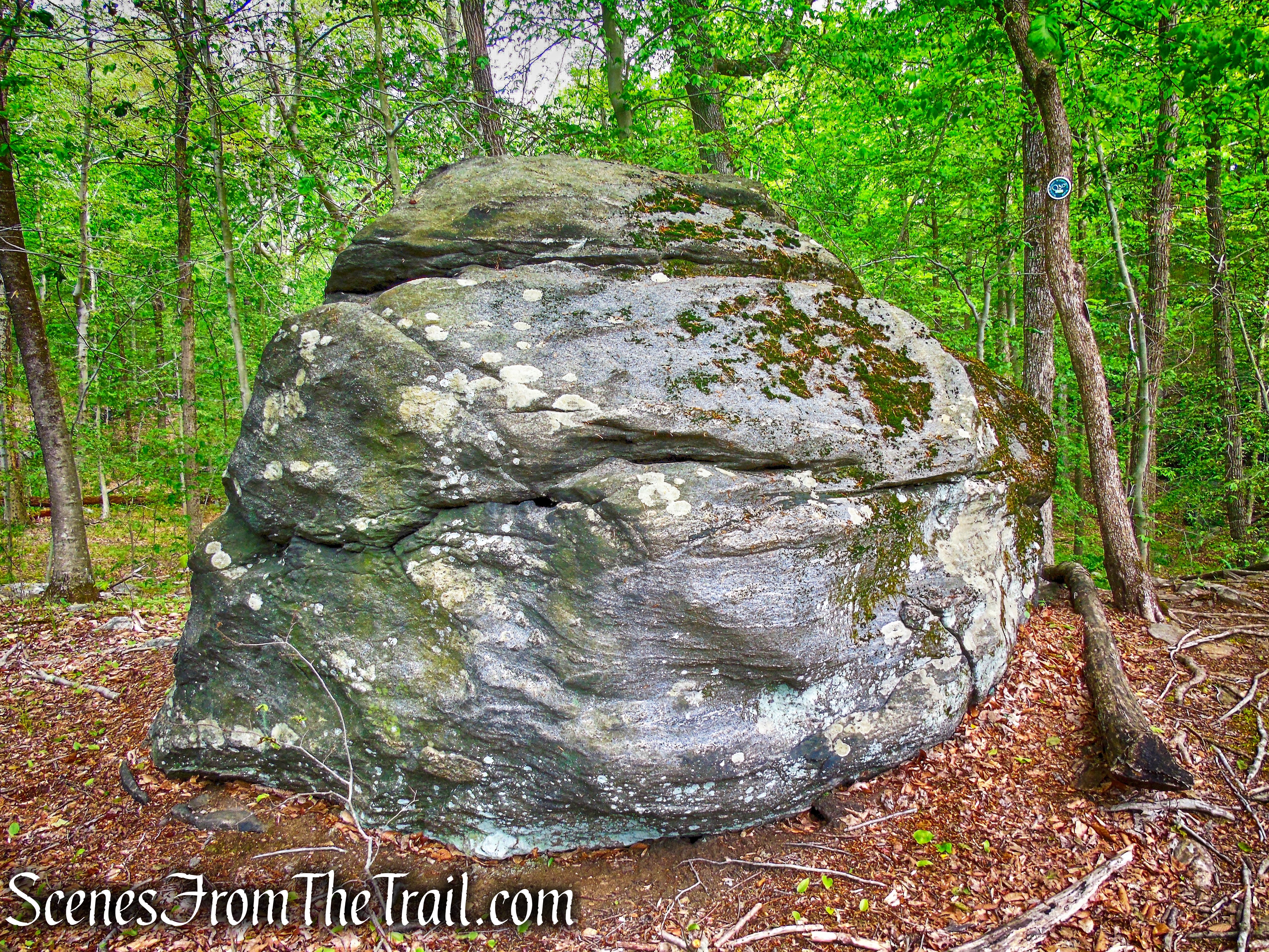 Jurassic Rock - Southern Loop