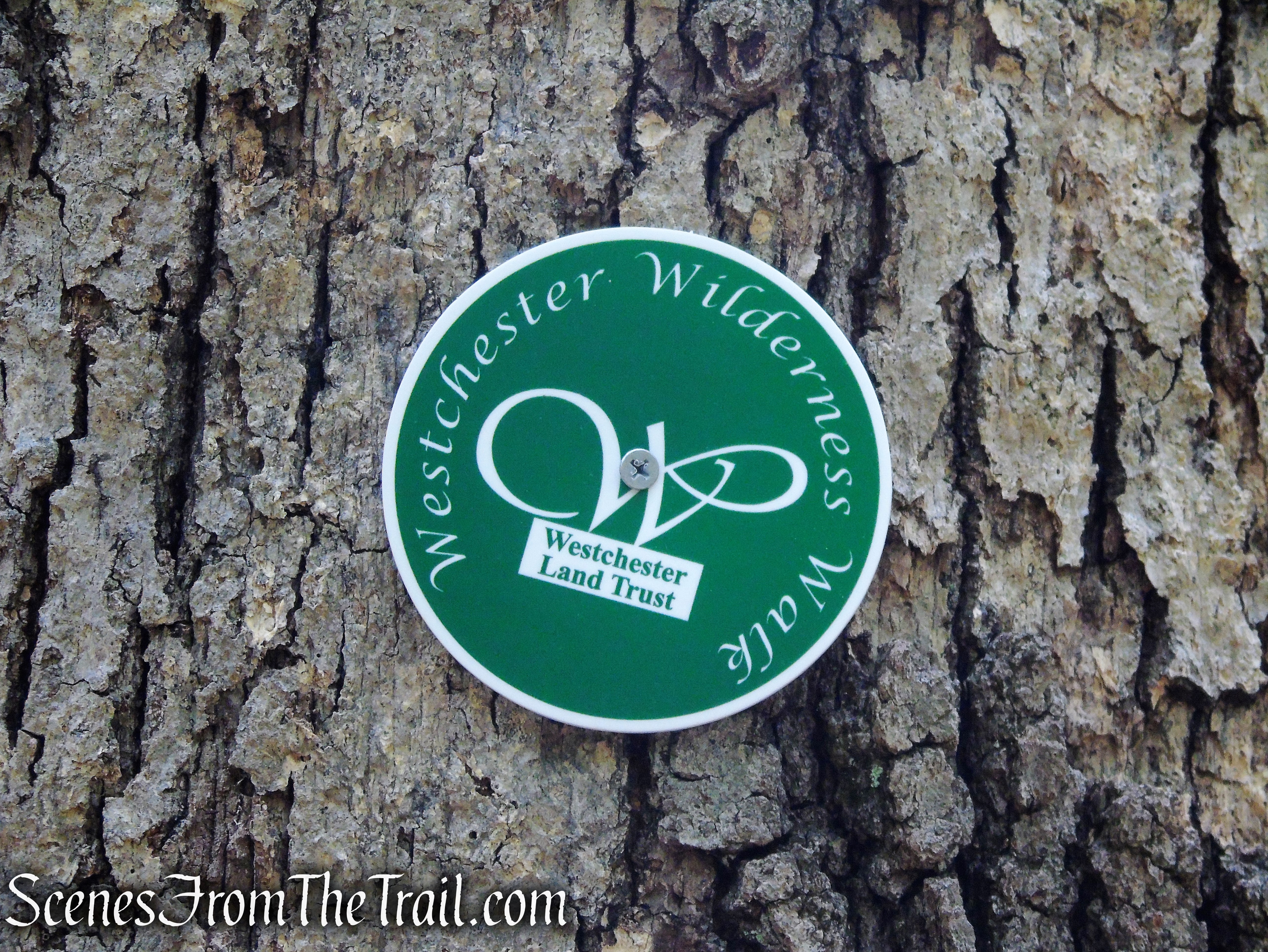 Westchester Wilderness Walk - Zofnass Family Preserve