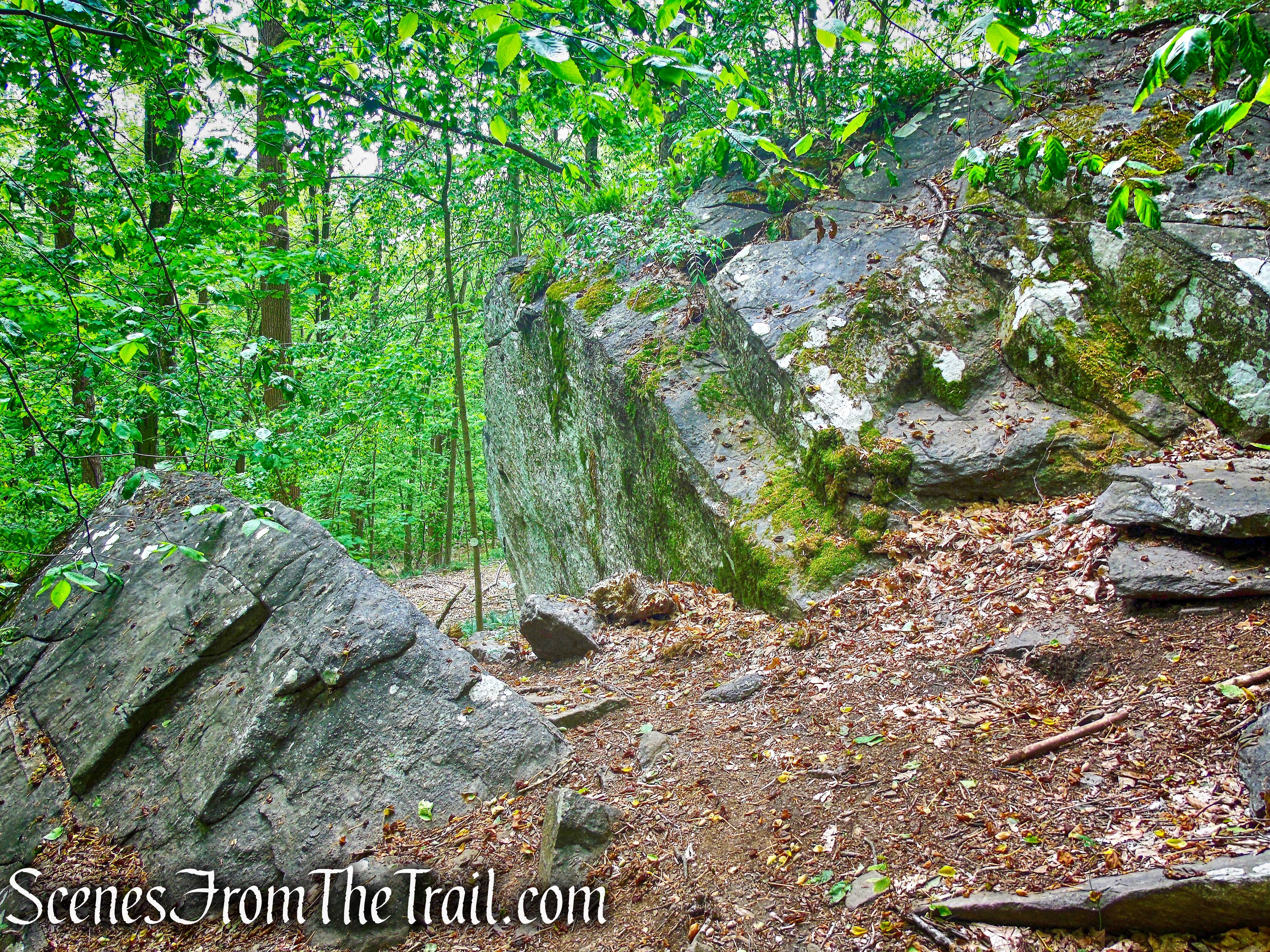 Fowler Rock - Southern Loop