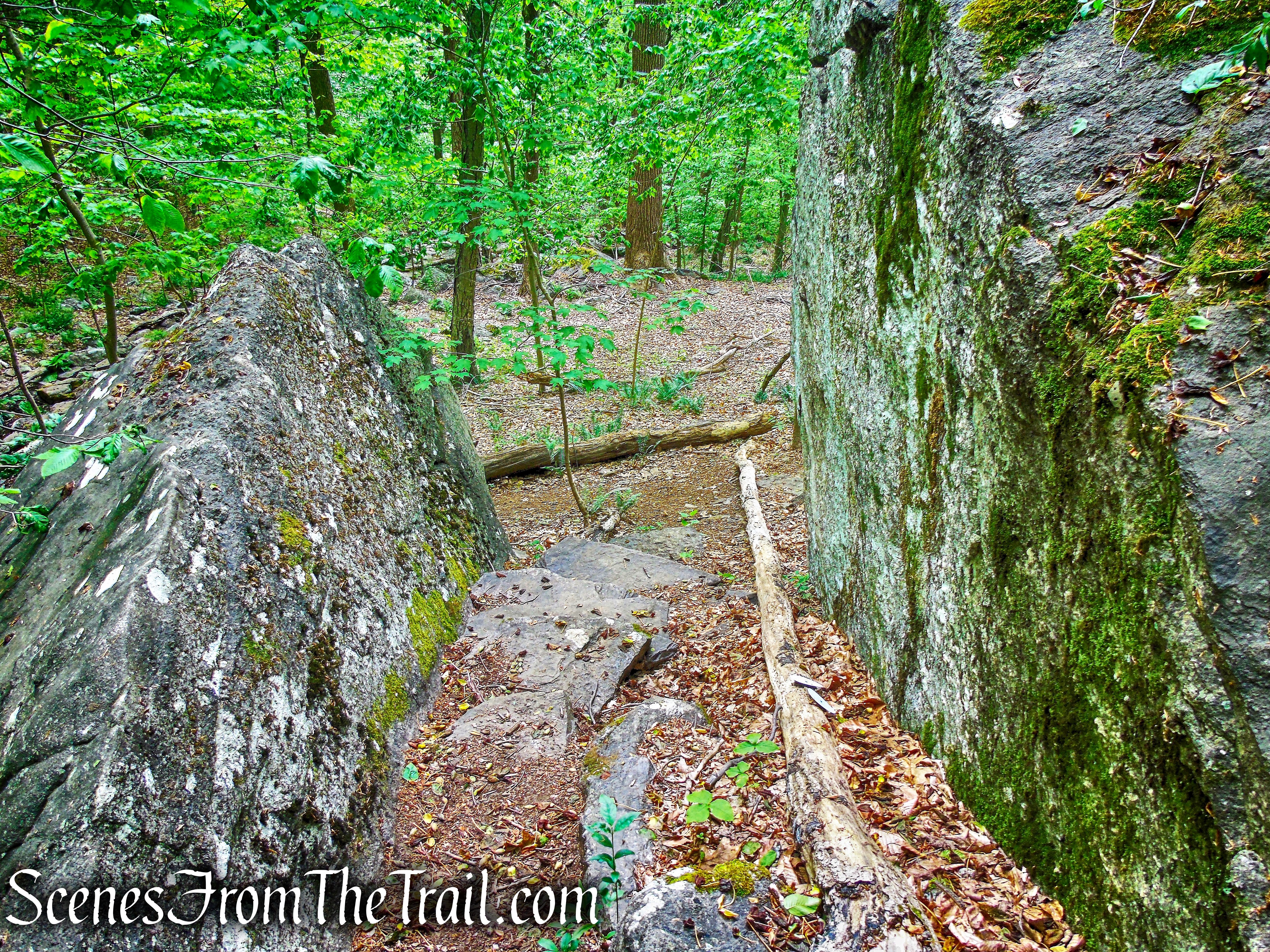 Fowler Rock - Southern Loop