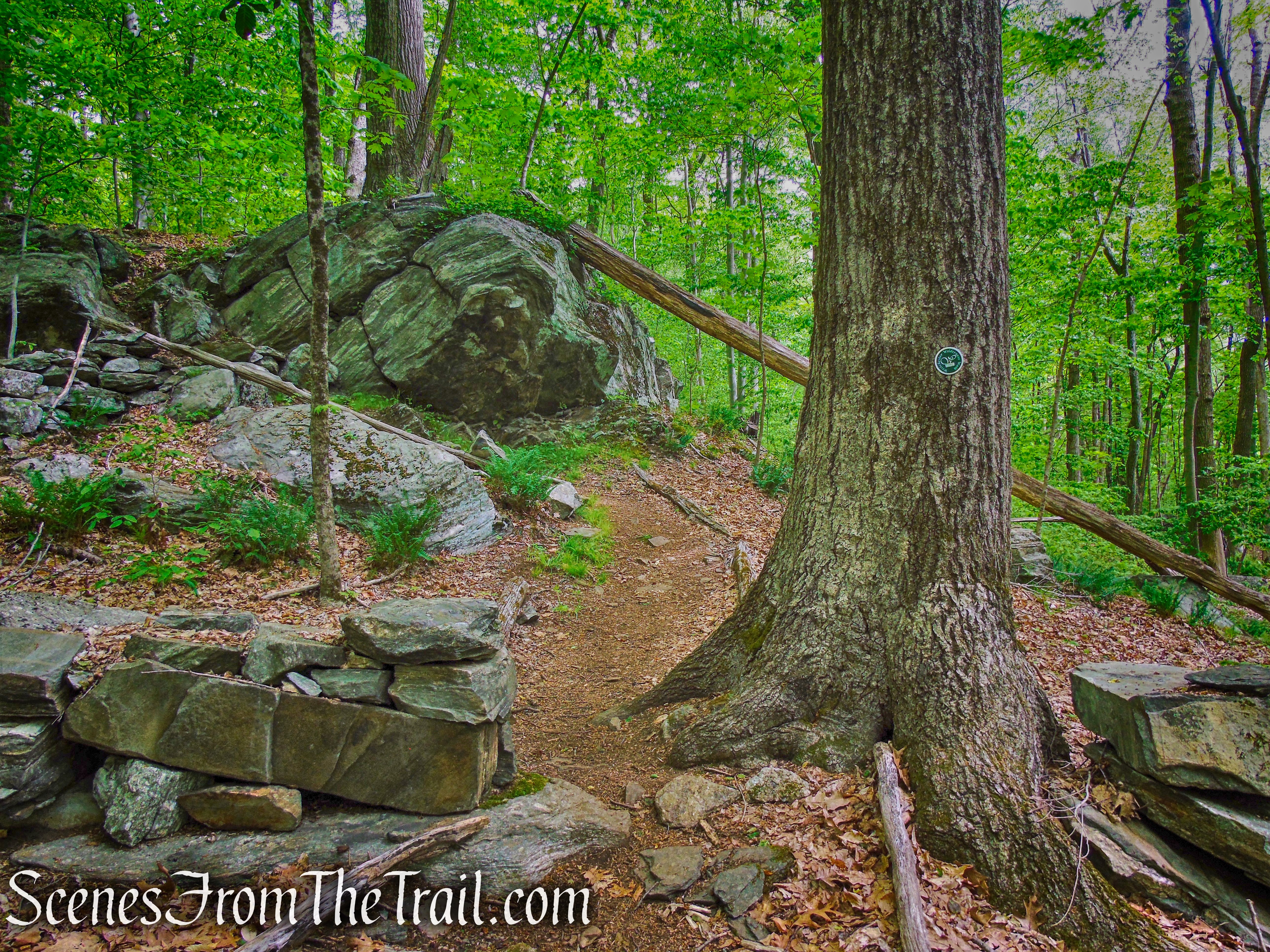 Campfire Rock - Southern Loop