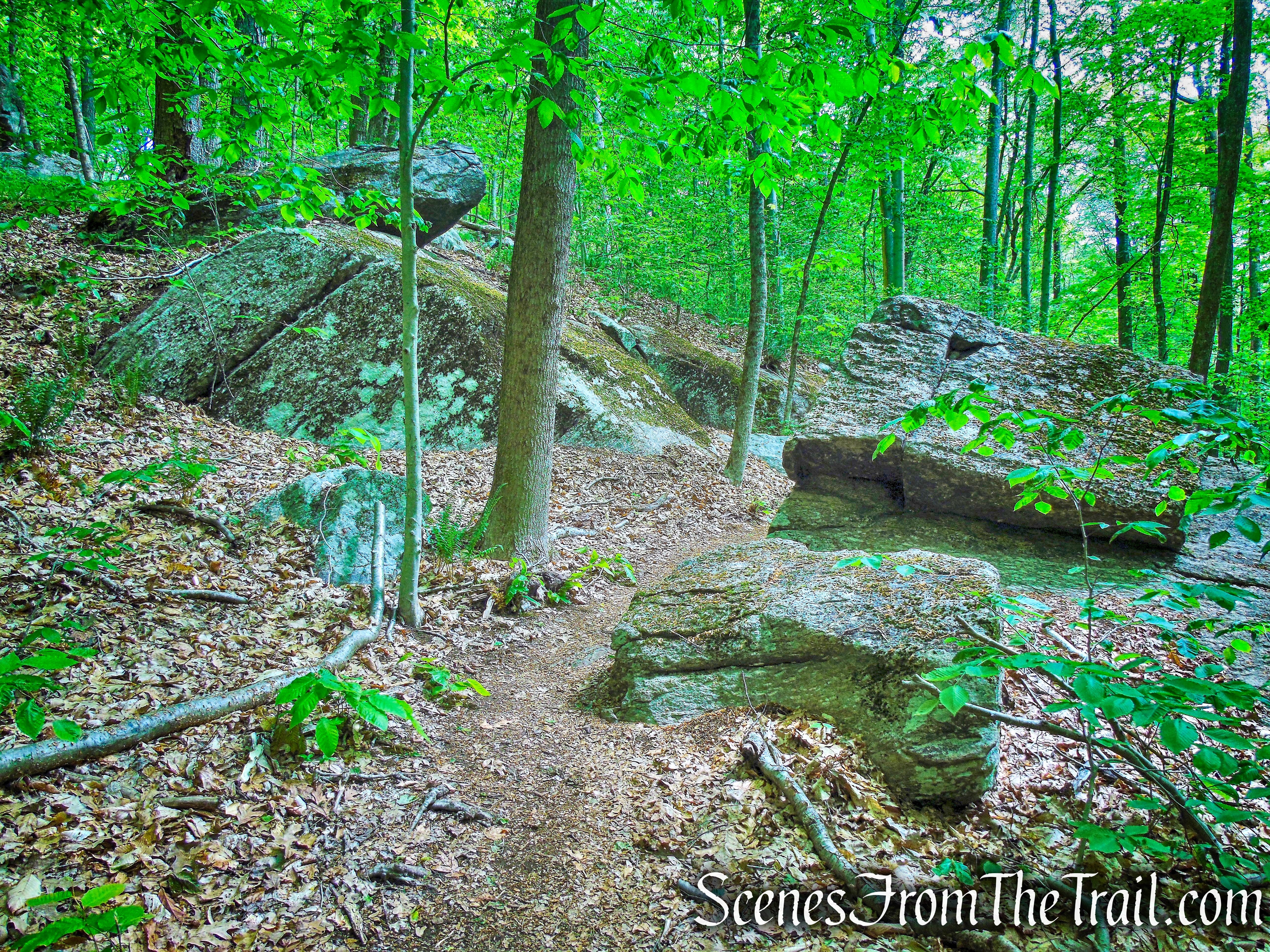 Wedge Walk Rock - Southern Loop