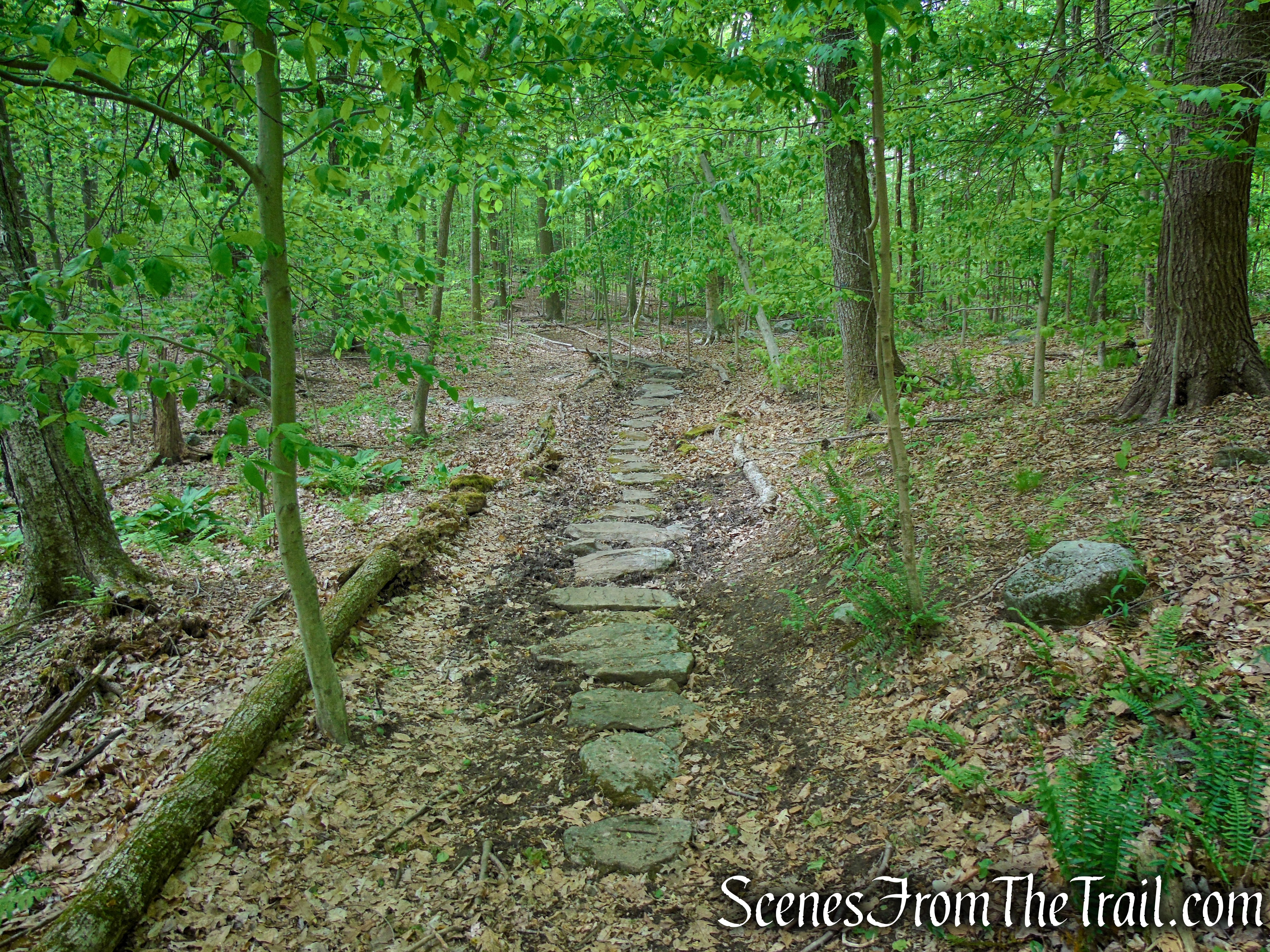 Central Roundabout - Westchester Wilderness Walk