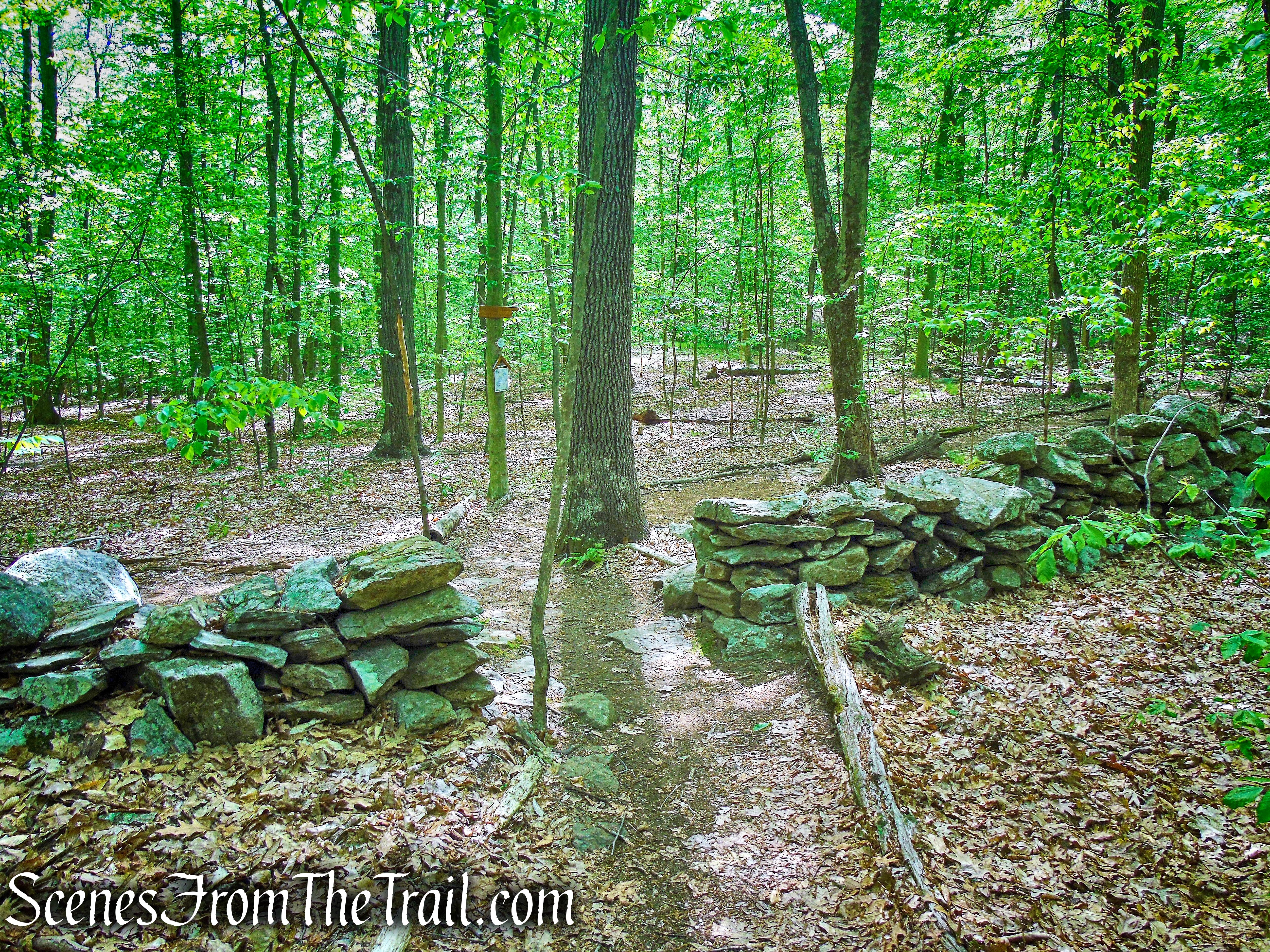Central Roundabout - Westchester Wilderness Walk