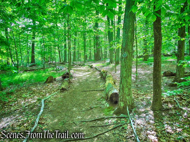 Eastern Loop - Westchester Wilderness Walk