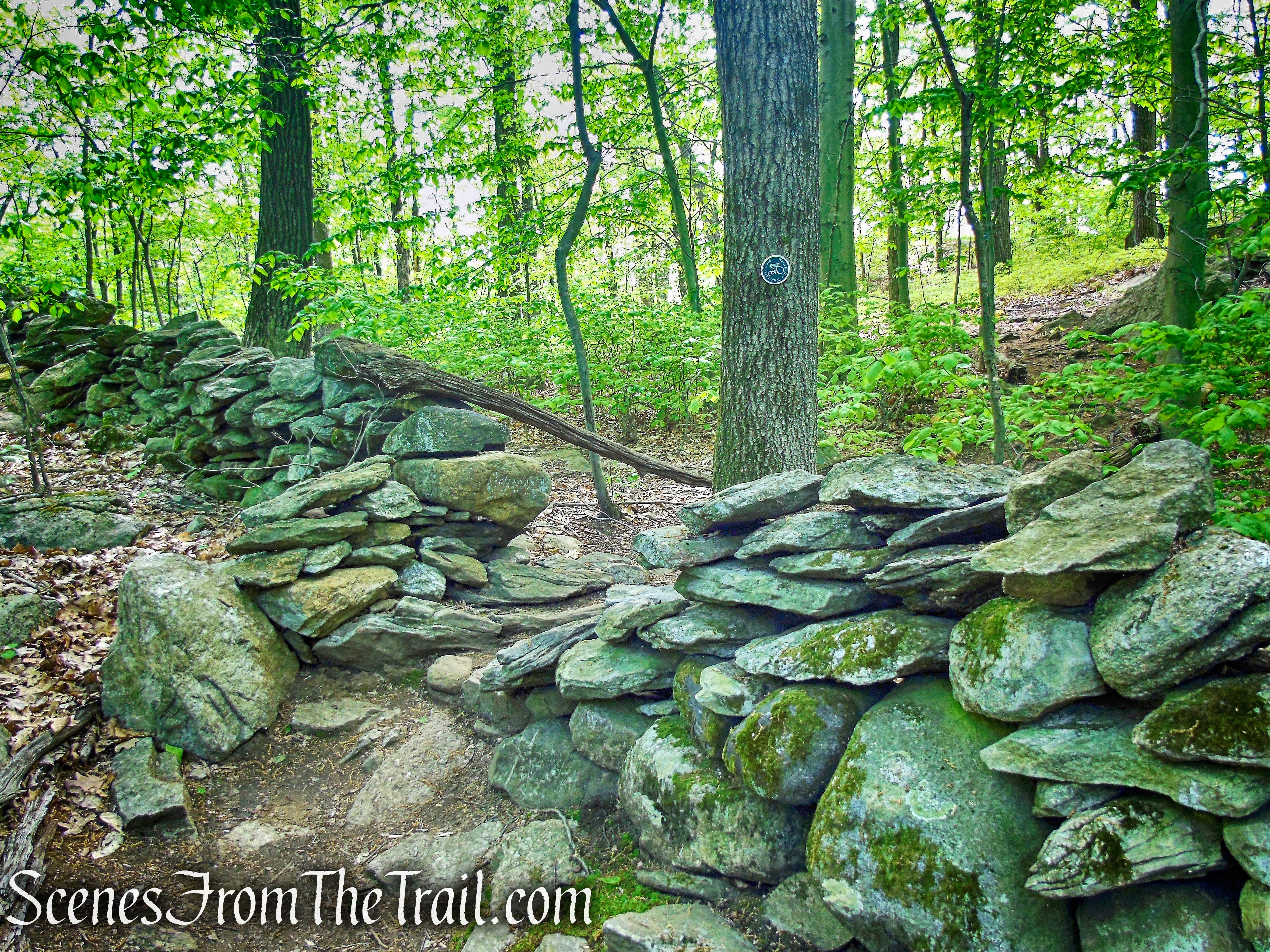 Eastern Loop - Westchester Wilderness Walk
