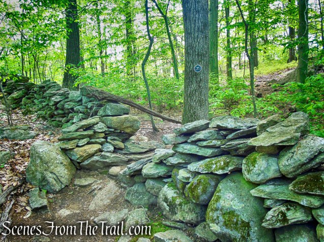 Eastern Loop - Westchester Wilderness Walk