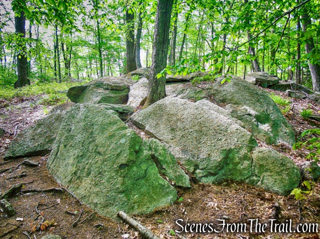 Eastern Loop - Westchester Wilderness Walk