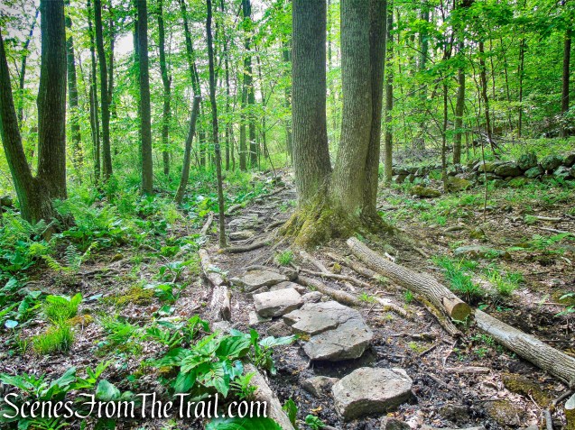 Eastern Loop - Westchester Wilderness Walk
