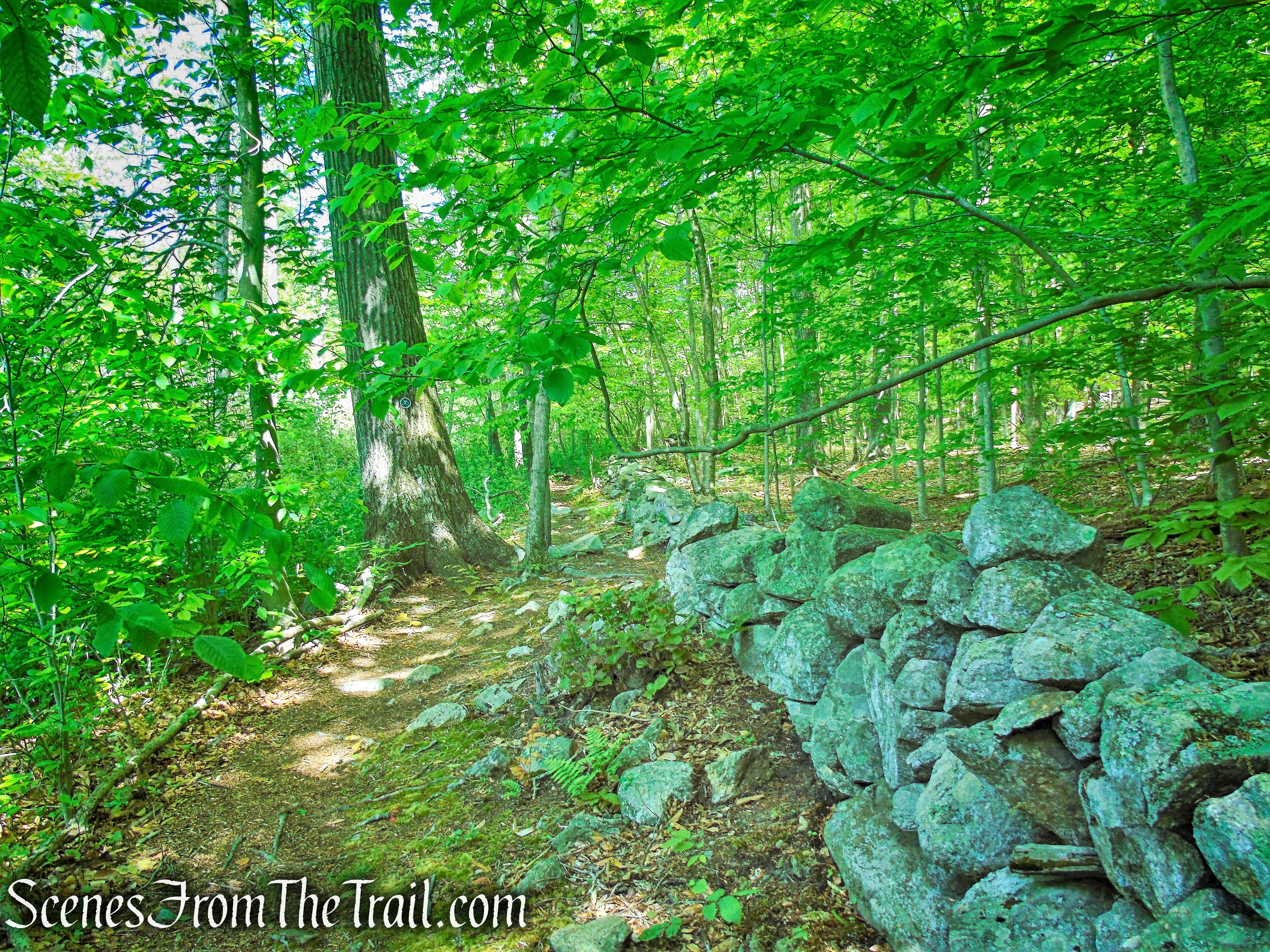Eastern Loop - Westchester Wilderness Walk