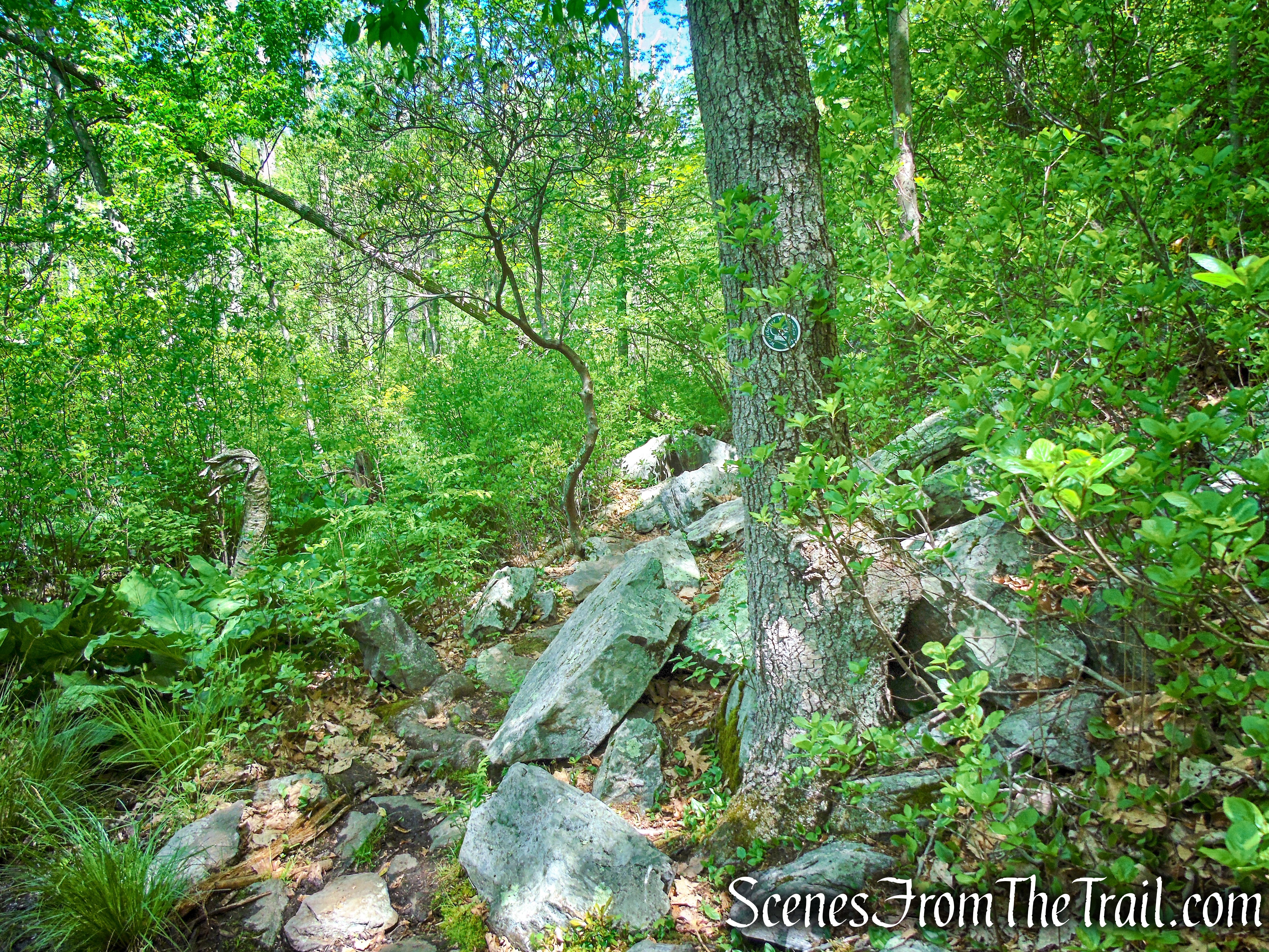 Eastern Loop - Westchester Wilderness Walk