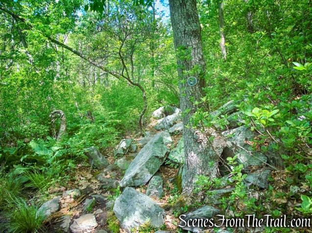 Eastern Loop - Westchester Wilderness Walk