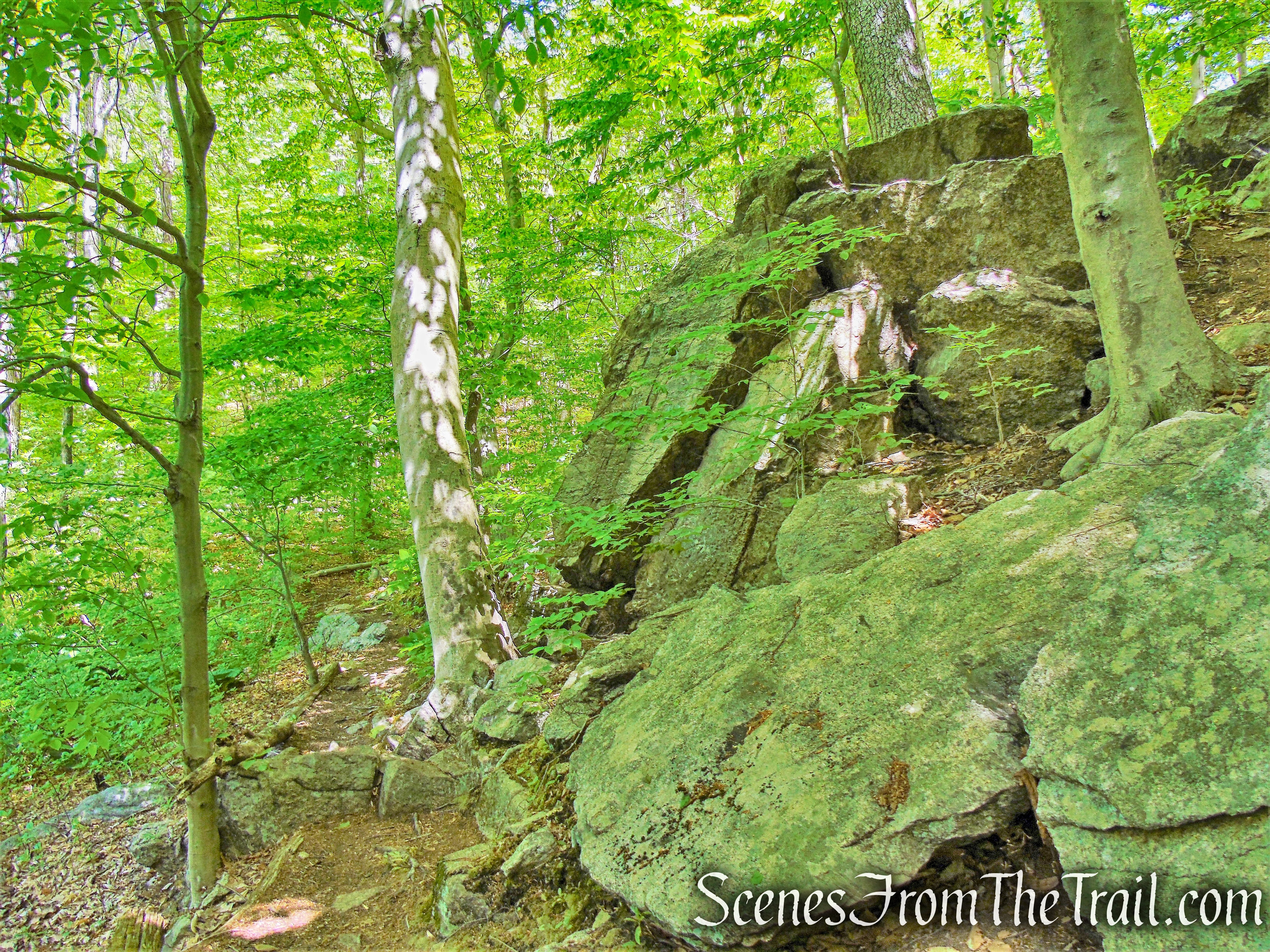 Eastern Loop - Westchester Wilderness Walk