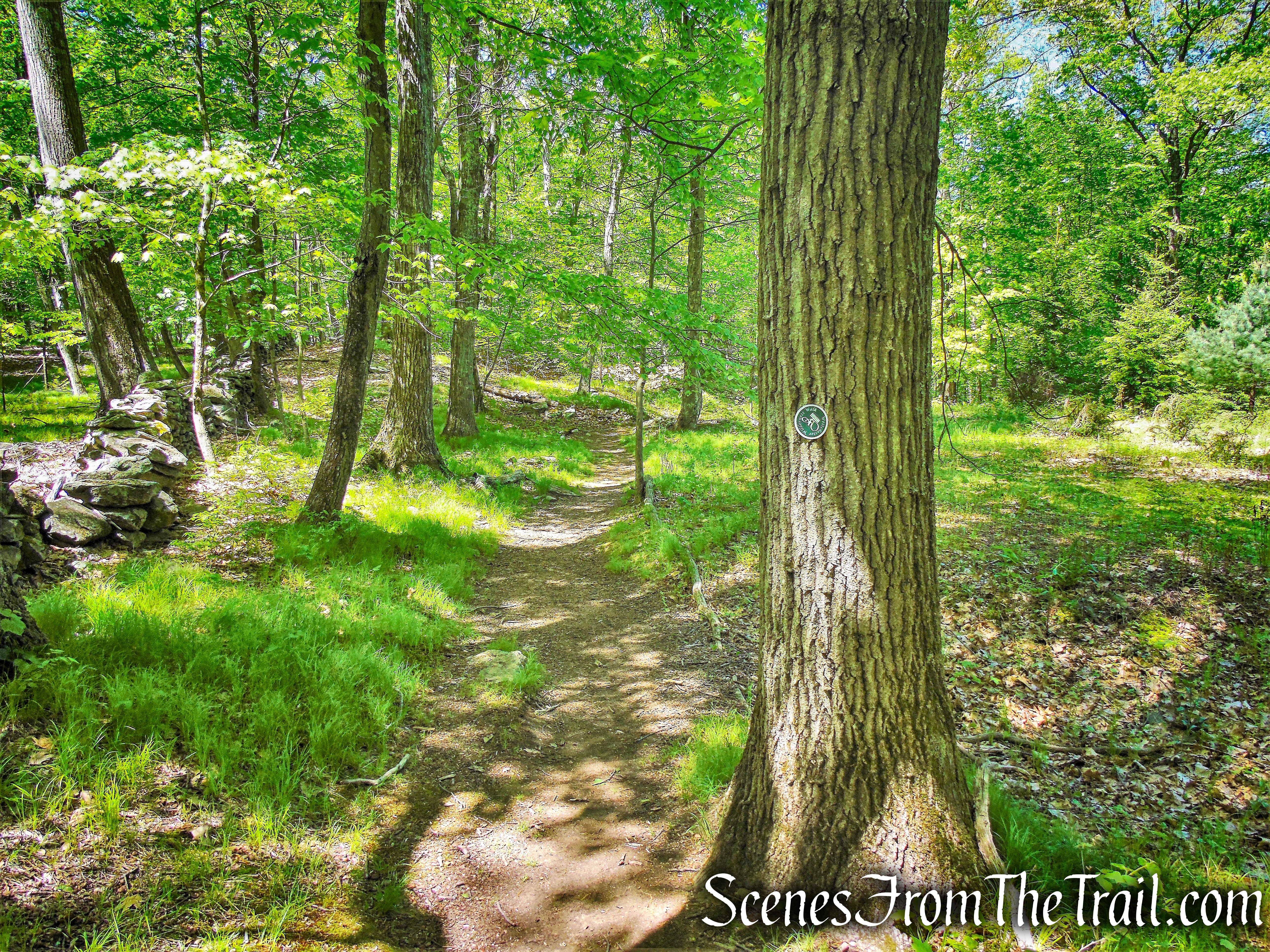 Eastern Loop - Westchester Wilderness Walk