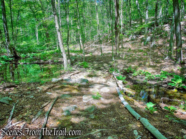 stream crossing - Central Roundabout