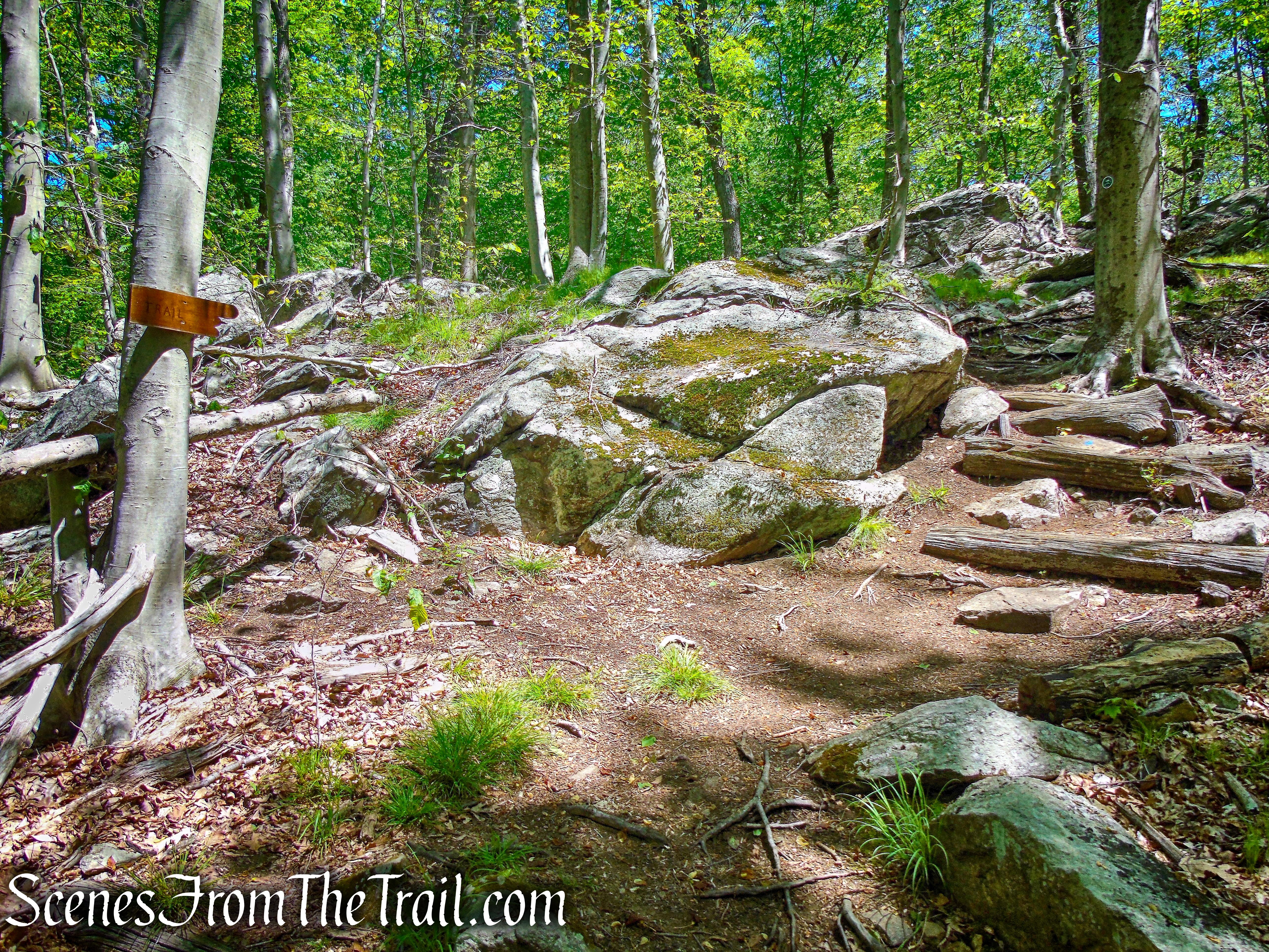 Over the Top - Central Roundabout