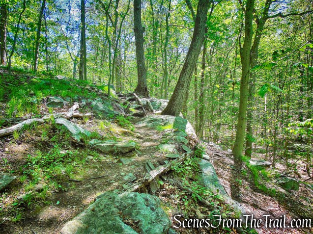 Over the Top - Central Roundabout