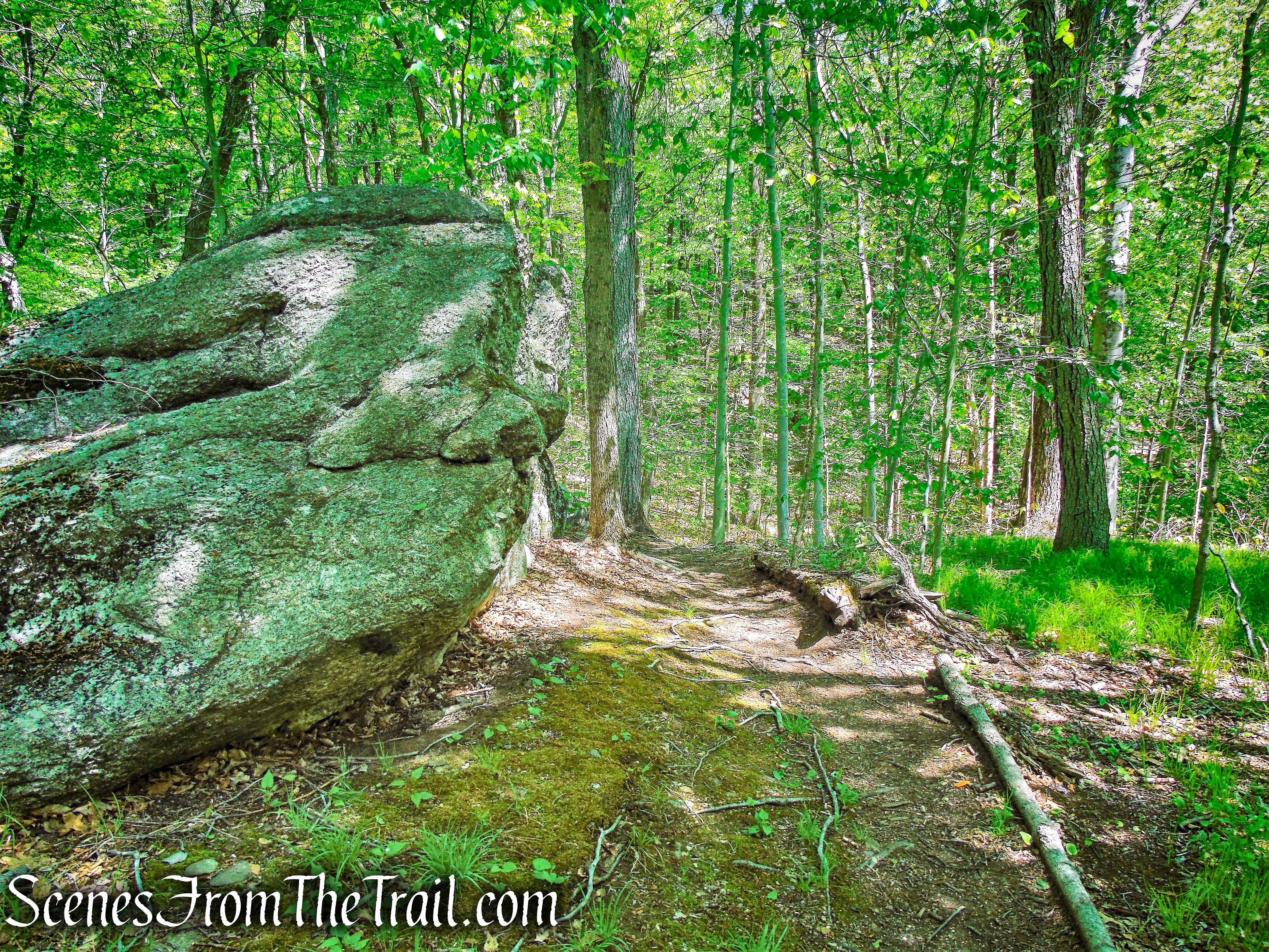 Over the Top - Central Roundabout