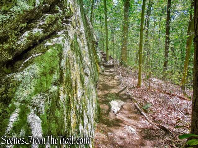 Moss Falls - Central Roundabout