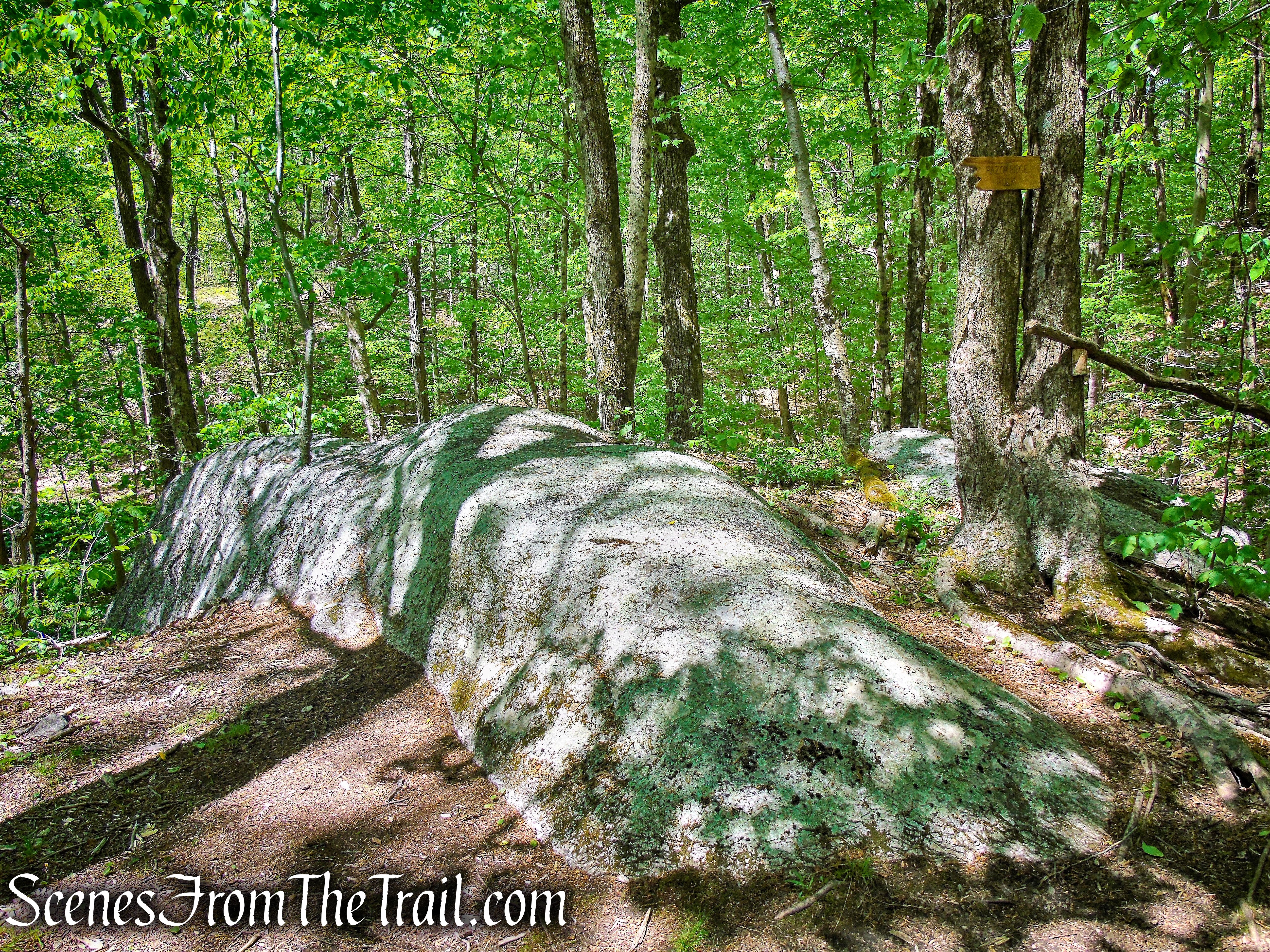 Razor Ridge Rock - Central Roundabout